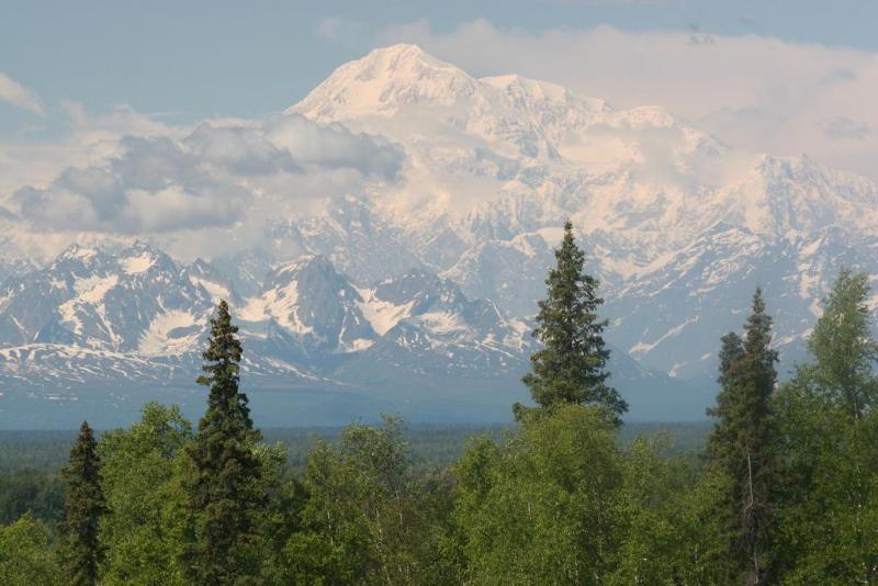 Talkeetna Alaskan Lodge Exteriör bild